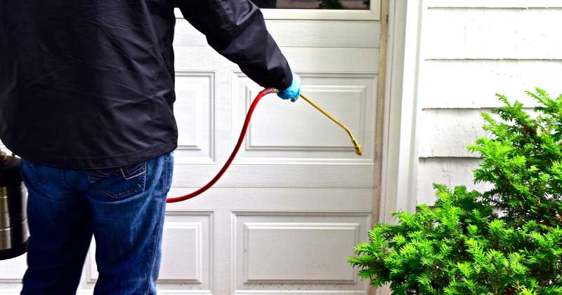 Customized Pest Control for High-Security Facilities